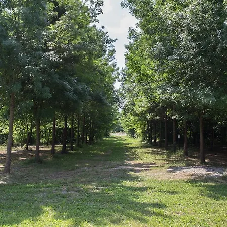 Casolare La Quercia *