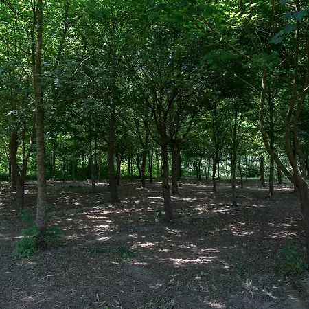 Alloggio per agriturismo Casolare La Quercia